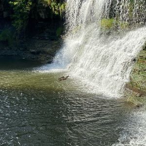 Meet your Posher, Michaela